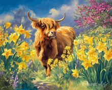 Afbeelding in Gallery-weergave laden, Diamond Painting - Schotse Hooglander met Narcissen
