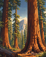 Afbeelding in Gallery-weergave laden, Diamond Painting - Yosemite National Park, Mariposa Grove - Californië