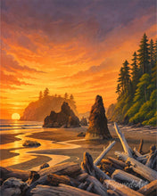 Afbeelding in Gallery-weergave laden, Diamond Painting - Olympic National Park - Washington
