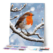 Afbeelding in Gallery-weergave laden, Diamond Painting - Winterroodborstje