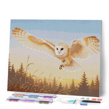 Afbeelding in Gallery-weergave laden, Diamond Painting - Kerkuil in de avondzon
