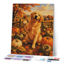 Afbeelding in Gallery-weergave laden, Diamond Painting - Golden Retriever in het Pompoenenveld