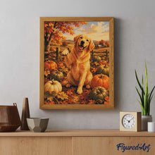 Afbeelding in Gallery-weergave laden, Diamond Painting - Golden Retriever in het Pompoenenveld