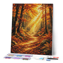 Afbeelding in Gallery-weergave laden, Diamond Painting - Bospad met Zonnestralen
