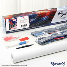 Afbeelding in Gallery-weergave laden, Diamond Painting - Moulin Rouge-affiche – Music Hall