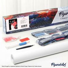 Afbeelding in Gallery-weergave laden, Diamond Painting - Moulin Rouge-affiche – Parijs onder de sterren