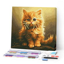 Afbeelding in Gallery-weergave laden, Mini Diamond Painting 25x25 cm - Pluizig Oranje Katje