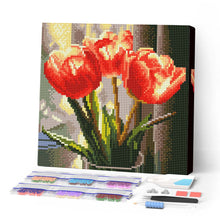 Afbeelding in Gallery-weergave laden, Mini Diamond Painting 25x25 cm - Perzikkleurige Tulpen