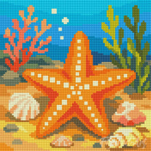 Afbeelding in Gallery-weergave laden, Mini Diamond Painting 25x25 cm - Zeester