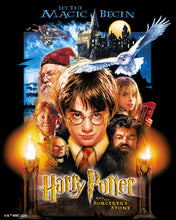 Afbeelding in Gallery-weergave laden, Diamond Painting - Harry Potter en de Steen der Wijzen 40x50cm reeds ingelijst