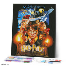 Afbeelding in Gallery-weergave laden, Diamond Painting - Harry Potter en de Steen der Wijzen 40x50cm reeds ingelijst