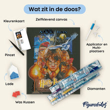 Afbeelding in Gallery-weergave laden, Diamond Painting - Harry Potter en de Steen der Wijzen 40x50cm reeds ingelijst