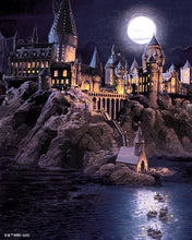 Afbeelding in Gallery-weergave laden, Diamond Painting - Hogwarts-kasteel bij nacht - Harry Potter 40x50cm reeds ingelijst