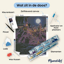 Afbeelding in Gallery-weergave laden, Diamond Painting - Harry Potter - Hogwarts-kasteel bij nacht