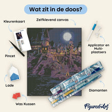Afbeelding in Gallery-weergave laden, Diamond Painting - Hogwarts-kasteel bij nacht - Harry Potter 40x50cm reeds ingelijst