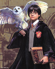 Afbeelding in Gallery-weergave laden, Diamond Painting - Harry Potter en Hedwig 40x50cm reeds ingelijst