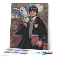 Afbeelding in Gallery-weergave laden, Diamond Painting - Harry Potter en Hedwig 40x50cm reeds ingelijst
