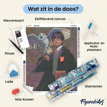 Afbeelding in Gallery-weergave laden, Diamond Painting - Harry Potter en Hedwig