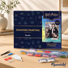 Afbeelding in Gallery-weergave laden, Diamond Painting - Harry Potter en Hedwig 40x50cm reeds ingelijst