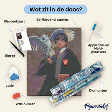 Afbeelding in Gallery-weergave laden, Diamond Painting - Harry Potter en Hedwig 40x50cm reeds ingelijst