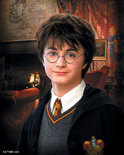 Afbeelding in Gallery-weergave laden, Diamond Painting - Portret van Harry Potter 40x50cm reeds ingelijst