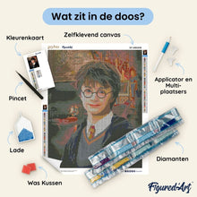 Afbeelding in Gallery-weergave laden, Diamond Painting - Portret van Harry Potter