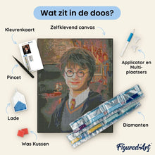 Afbeelding in Gallery-weergave laden, Diamond Painting - Portret van Harry Potter 40x50cm reeds ingelijst