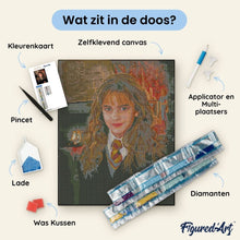 Afbeelding in Gallery-weergave laden, Diamond Painting - Portret van Hermione Granger 40x50cm reeds ingelijst