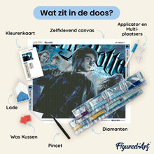 Afbeelding in Gallery-weergave laden, Diamond Painting - Harry Potter en de Halfbloed Prins - Poster II