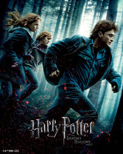 Afbeelding in Gallery-weergave laden, Diamond Painting - Harry Potter en de Relieken van de Dood - Deel 1 40x50cm reeds ingelijst