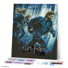 Afbeelding in Gallery-weergave laden, Diamond Painting - Harry Potter en de Relieken van de Dood - Deel 1 40x50cm reeds ingelijst