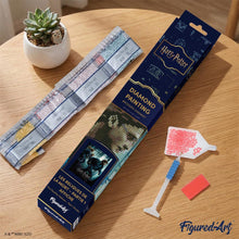 Afbeelding in Gallery-weergave laden, Diamond Painting - Harry Potter en de Relieken van de Dood - Deel 1