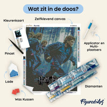 Afbeelding in Gallery-weergave laden, Diamond Painting - Harry Potter en de Relieken van de Dood - Deel 1