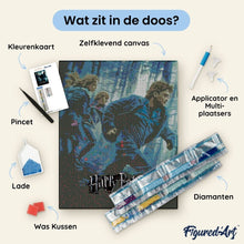 Afbeelding in Gallery-weergave laden, Diamond Painting - Harry Potter en de Relieken van de Dood - Deel 1 40x50cm reeds ingelijst