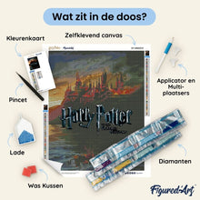 Afbeelding in Gallery-weergave laden, Diamond Painting - Harry Potter - Hogwarts in Vlammen