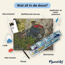 Afbeelding in Gallery-weergave laden, Diamond Painting - Hogwarts Express - Harry Potter 40x50cm reeds ingelijst