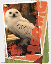 Afbeelding in Gallery-weergave laden, Diamond Painting - Hedwig-kaart - Harry Potter 40x50cm reeds ingelijst