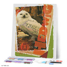 Afbeelding in Gallery-weergave laden, Diamond Painting - Hedwig-kaart - Harry Potter 40x50cm reeds ingelijst