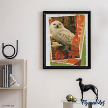 Afbeelding in Gallery-weergave laden, Diamond Painting - Hedwig-kaart - Harry Potter 40x50cm reeds ingelijst