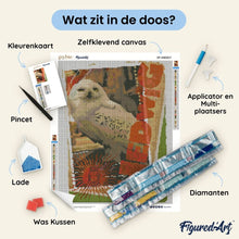 Afbeelding in Gallery-weergave laden, Diamond Painting - Harry Potter - Hedwig-kaart