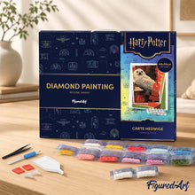 Afbeelding in Gallery-weergave laden, Diamond Painting - Hedwig-kaart - Harry Potter 40x50cm reeds ingelijst