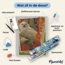 Afbeelding in Gallery-weergave laden, Diamond Painting - Hedwig-kaart - Harry Potter 40x50cm reeds ingelijst
