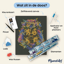Afbeelding in Gallery-weergave laden, Diamond Painting - Bloemenwapen van Hogwarts - Harry Potter 40x50cm reeds ingelijst