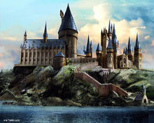 Afbeelding in Gallery-weergave laden, Diamond Painting - Hogwarts-kasteel - Harry Potter 40x50cm reeds ingelijst