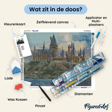 Afbeelding in Gallery-weergave laden, Diamond Painting - Harry Potter - Hogwarts-kasteel