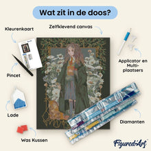 Afbeelding in Gallery-weergave laden, Diamond Painting - Hermione Granger - Yume 40x50cm reeds ingelijst