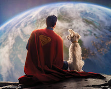 Afbeelding in Gallery-weergave laden, Diamond Painting - Superman en Krypto 40x50cm reeds ingelijst