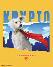 Afbeelding in Gallery-weergave laden, Diamond Painting - Krypto met skyline - Superman 40x50cm reeds ingelijst