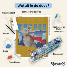 Afbeelding in Gallery-weergave laden, Diamond Painting - Superman - Krypto met skyline