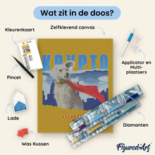 Afbeelding in Gallery-weergave laden, Diamond Painting - Krypto met skyline - Superman 40x50cm reeds ingelijst